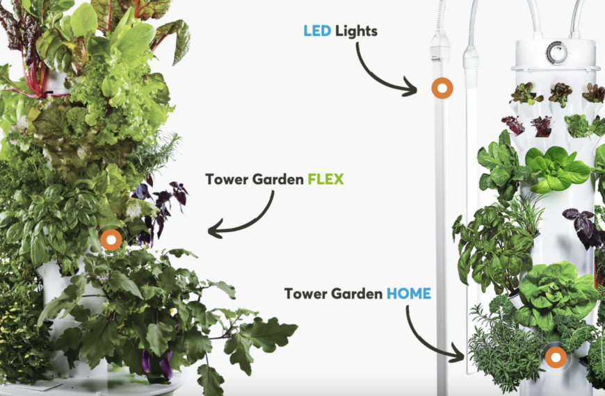 VERTICAL FARMING IN RESTAURANTS