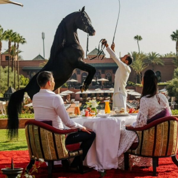 Join the Arabian Horse Parade