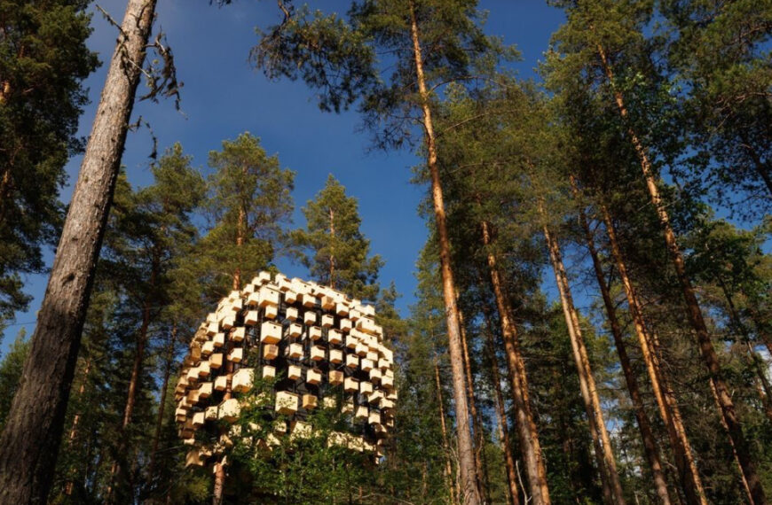 Treehotel: A Unique Nature Retreat in Sweden