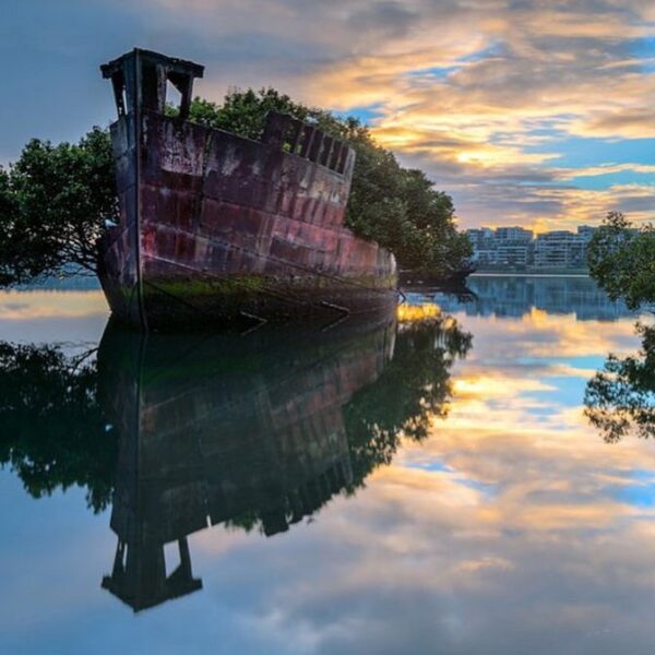 Enchanting Campout in the Floating Forest – National Geographic