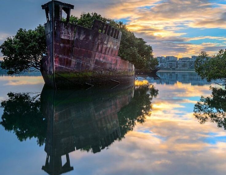 Enchanting Campout in the Floating Forest – National Geographic