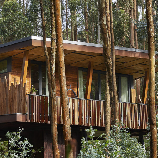 A Journey to the Heart of Nature: Hotel Experiences at One&Only Gorilla’s Nest, Rwanda