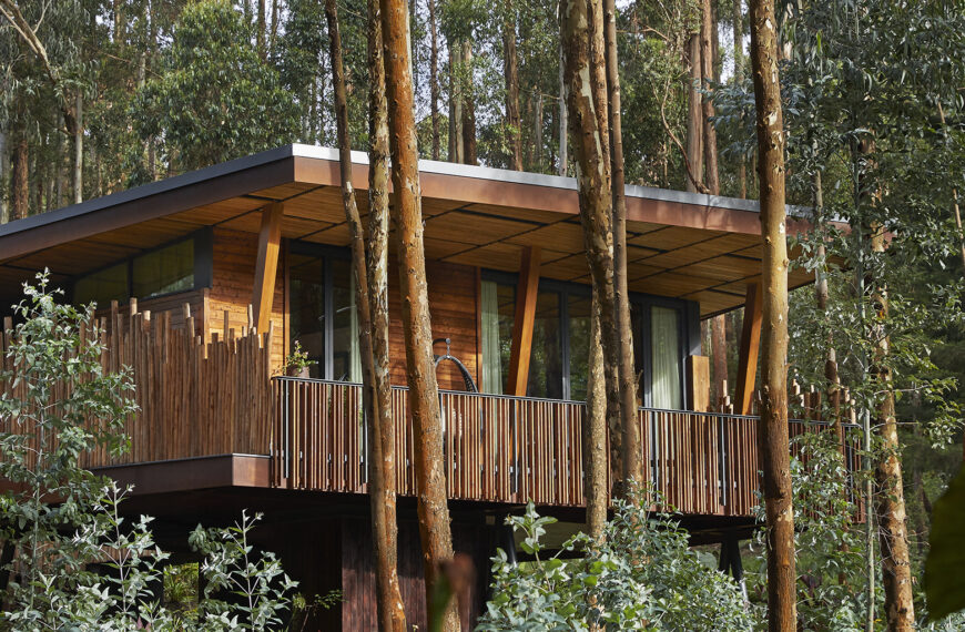 A Journey to the Heart of Nature: Hotel Experiences at One&Only Gorilla’s Nest, Rwanda