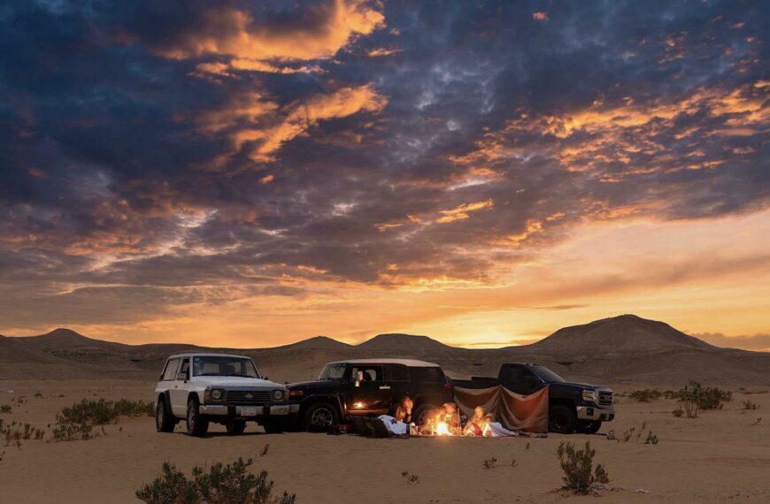 Lost in the Desert: One Tiny Night, Infinite Wonder