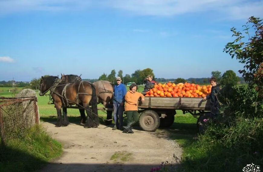 From Wi-Fi to Wildfields:Why Gen Z is trading screens for soil at Opa’s Farm