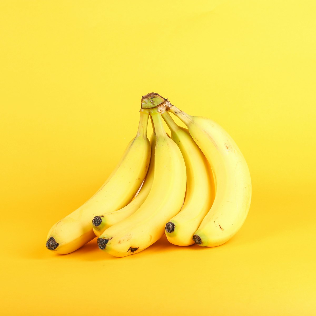 Edible Biomaterial Food Coatings: Reducing Post Harvest - edible biomaterial food coatings | Science of the Time