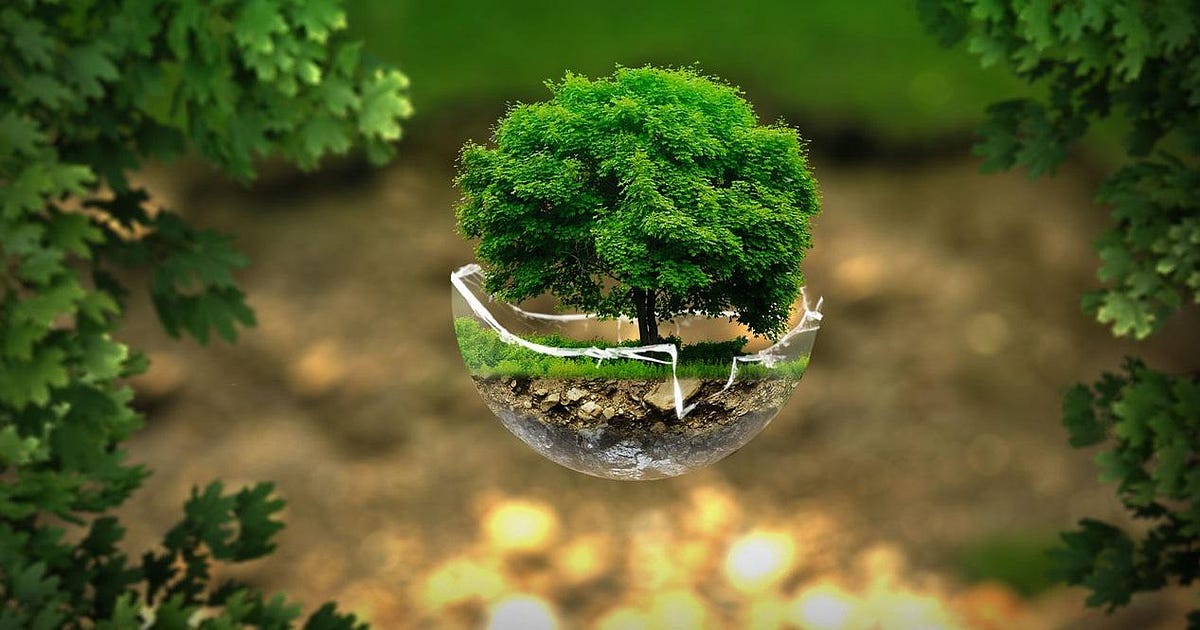 Authentic Corporate Purpose: Beyond Purpose Washing - authentic corporate purpose | Science of the Time