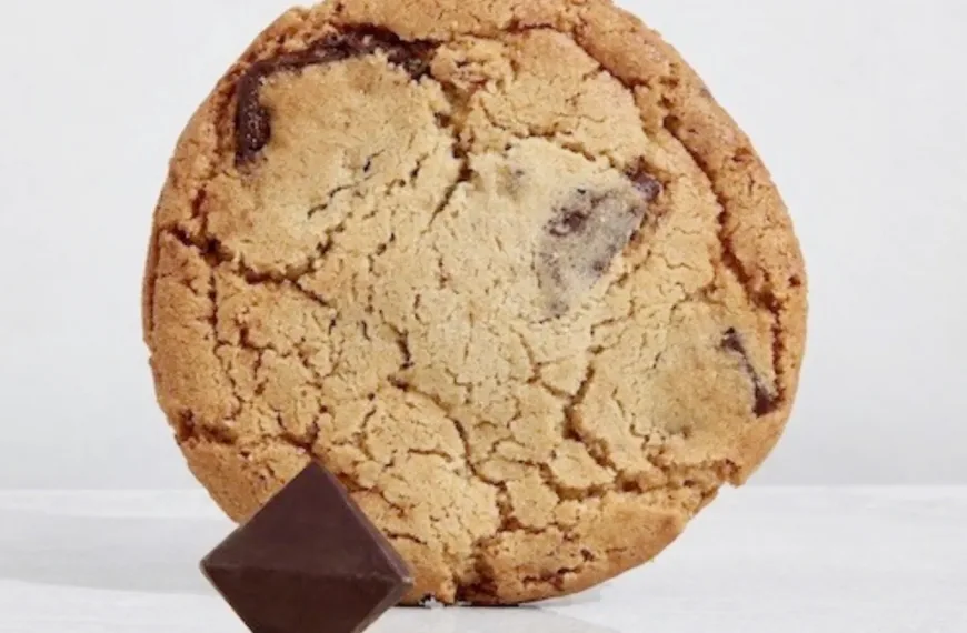 THE ‘PERFECT CHOCOLATE CHIP’, CREATED BY TESLA DESIGNER REMY LABESQUE
