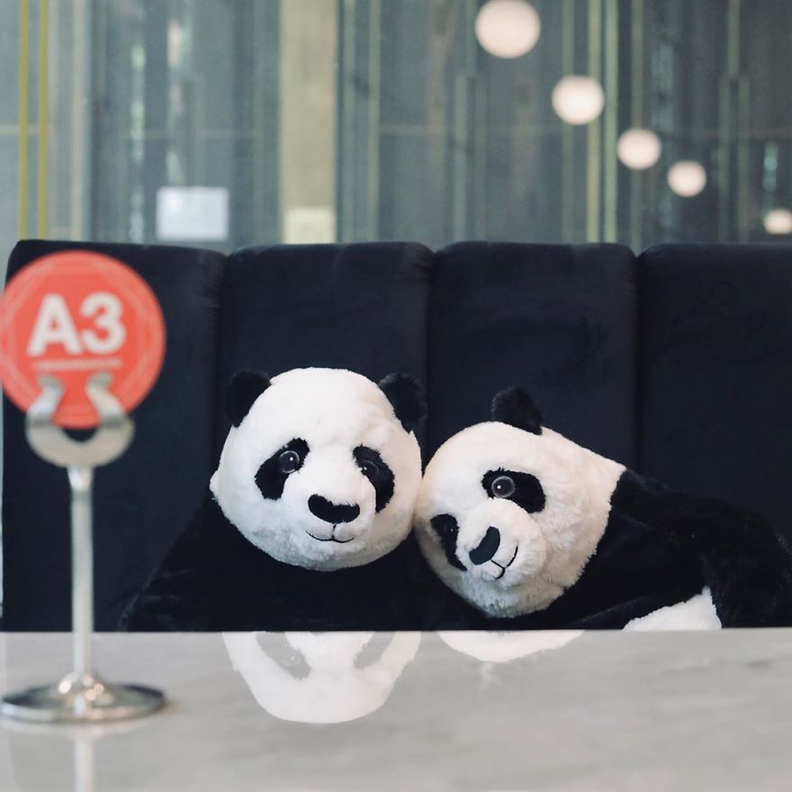 DINNER FOR TWO – NEVER LONELY WITH A PANDA