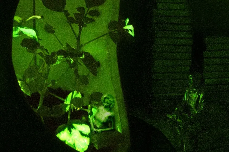 Glowing Plants Replacing Artificial Light?