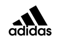 13.png